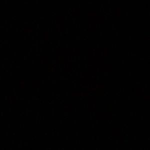 Meet your Posher, Shaquilla